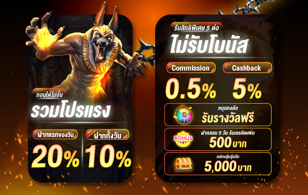 สินค้าแนะนำ
